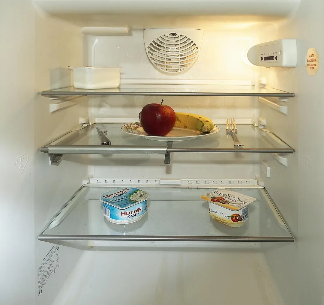 醫師提醒，老舊冰箱若是放入過多食物時，就可能出現溫度降低的情形。（示意圖／Pixabay）