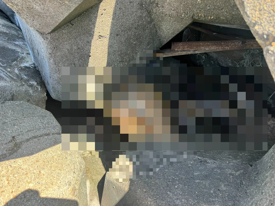 彰化線西海堤發現一具男性浮屍卡在消波塊中。(圖/翻攝畫面)