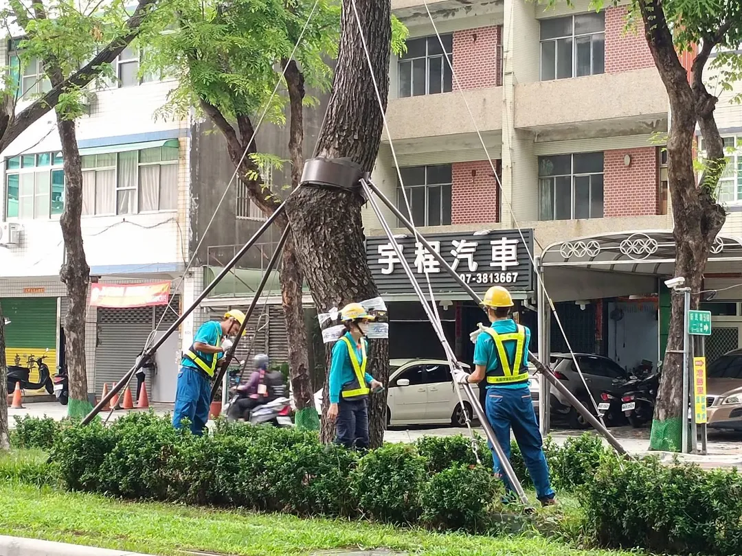 因應颱風來襲，高市公園處強化護樹防颱準備。（圖/高雄市公園處提供）
