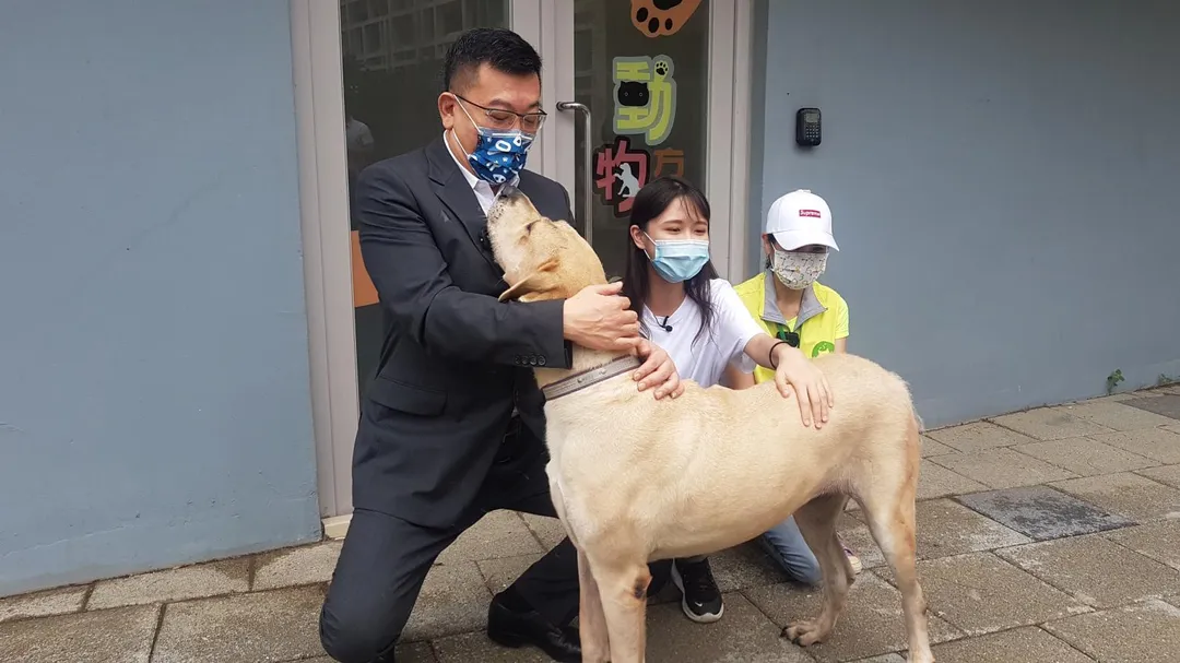 許修睿議長呼籲飼主「愛牠就不要傷害牠」。（圖／新竹市議會提供）