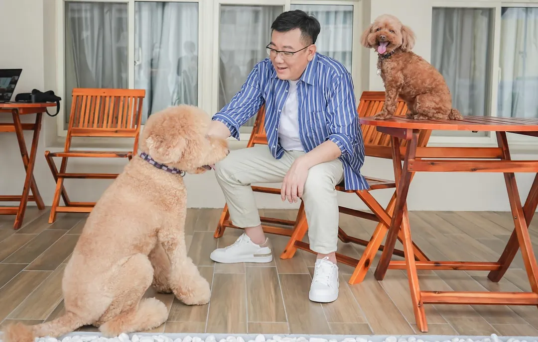許修睿議長收養的兩隻受虐犬-寶弟、寶妹。（圖／新竹市議會提供）