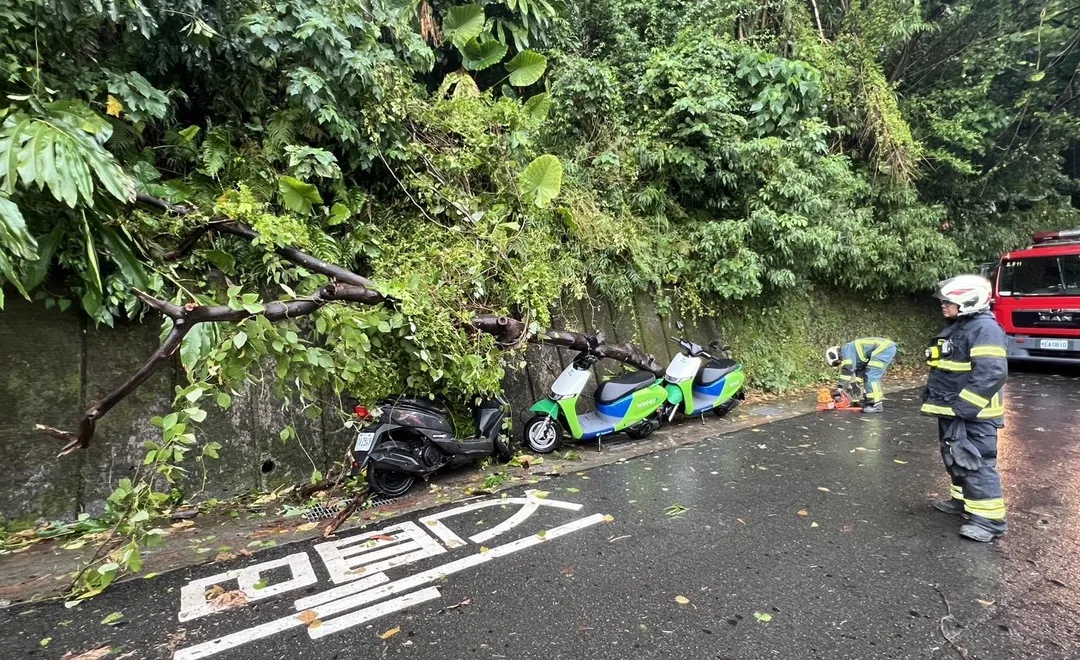 北市信義區一棵路樹倒塌砸中3台機車。(圖/翻攝畫面)