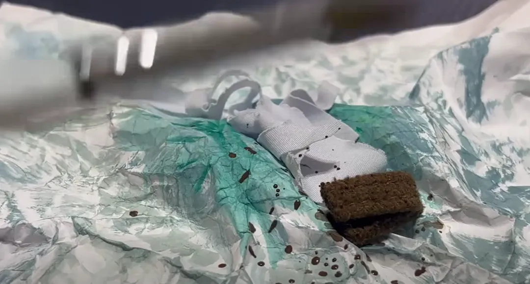 堰塞湖邊坡持續有土石崩塌，人員即使只是停留都具有危險性，萬一遭受地震及豪大雨更是充滿生命危險。（圖/翻攝自林業署官方臉書）