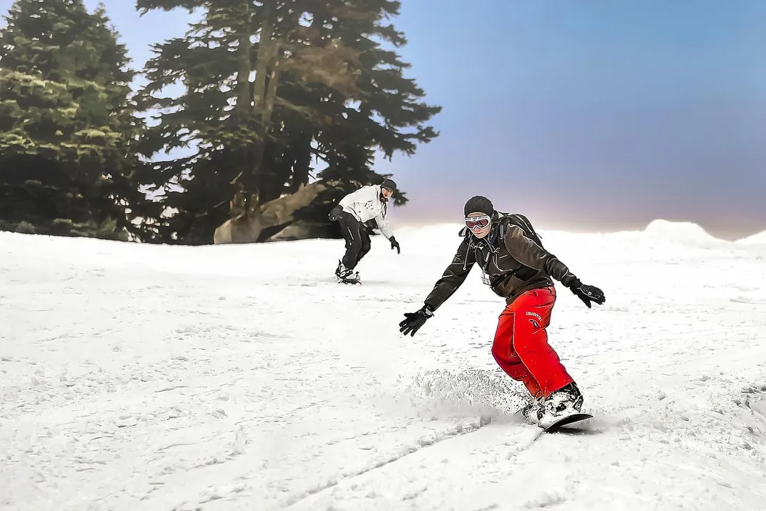 滑雪玩法多樣，從雙板、單板到carving、freestyle，各自可能帶來不同的傷害模式。（示意圖／Pixabay）