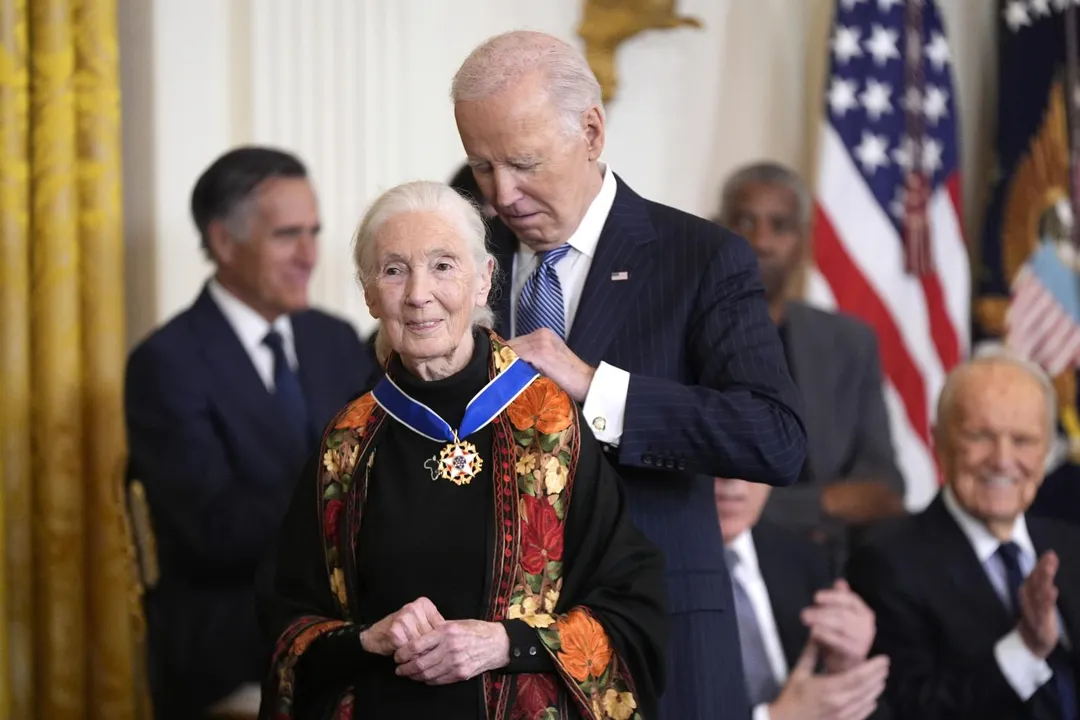 珍古德(Jane Goodall)。(圖/美聯社)