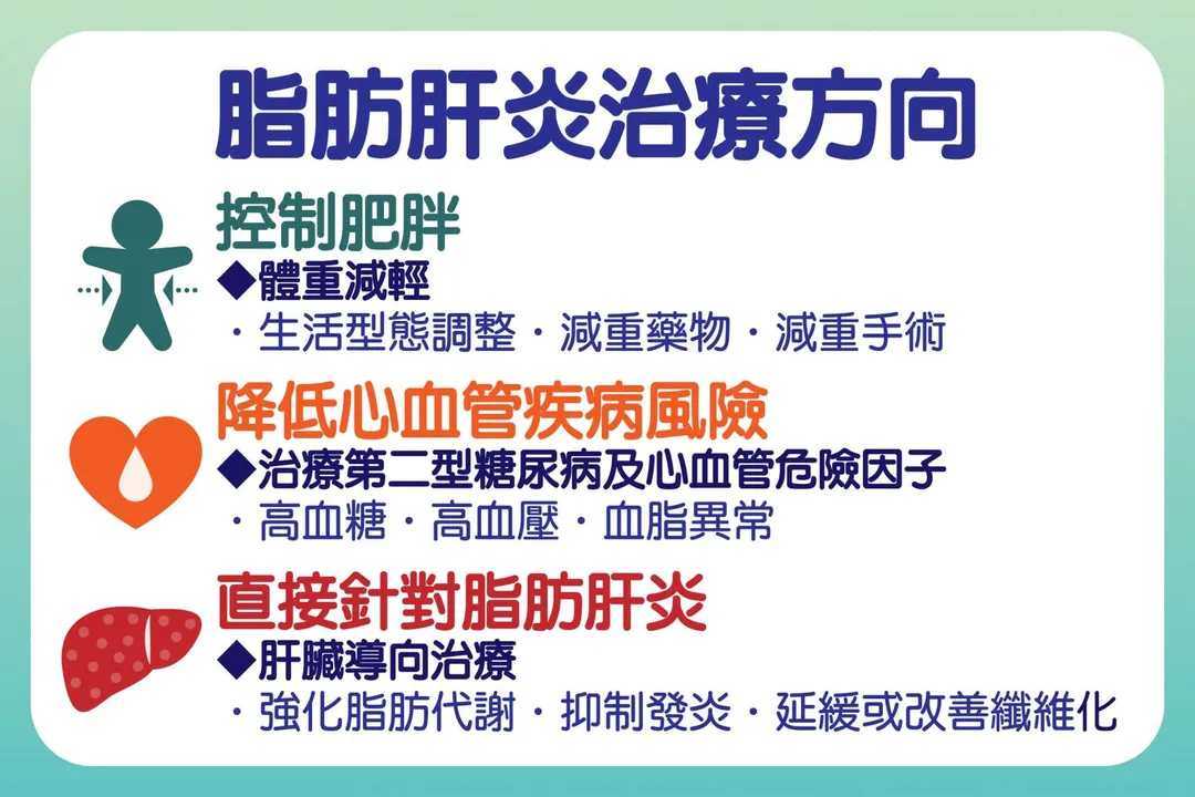 治療脂肪肝炎需兼顧肥胖及糖尿病等因素，直接或間接改善肝臟病情。（圖／台中慈濟醫院）