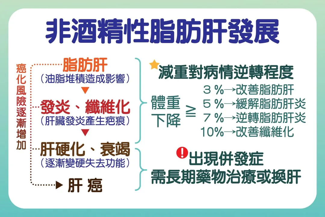 脂肪肝炎病人減少7–10%體重，就能明顯改善發炎與纖維化，逆轉病情發展。（圖／台中慈濟醫院）