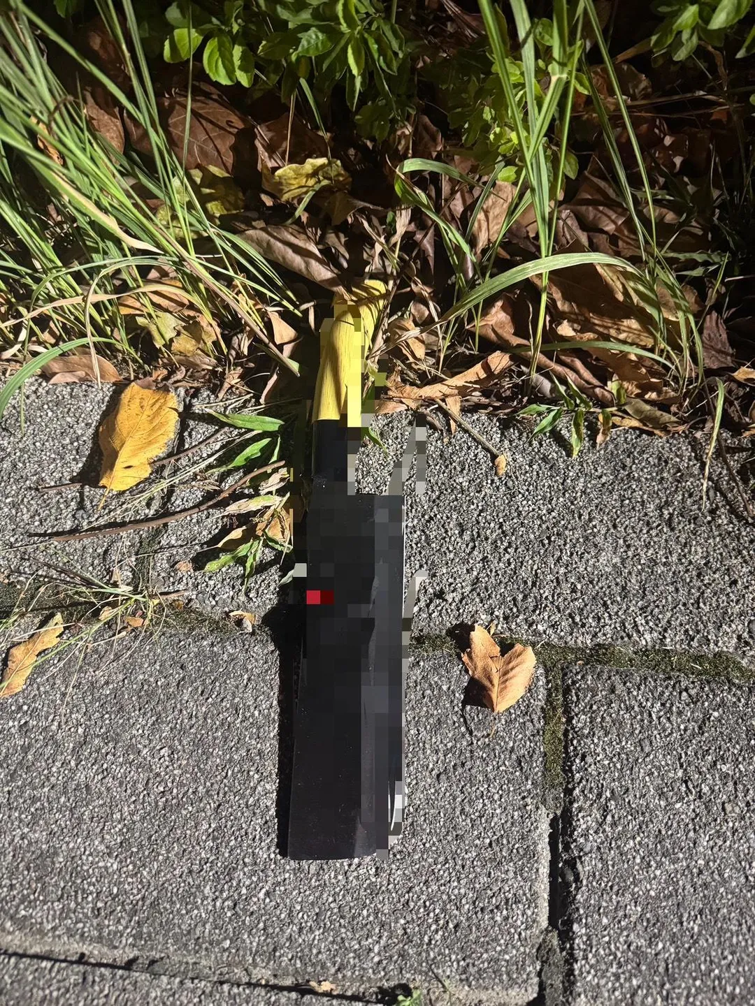 雲姓男子被解雇，夥同友人找錢雇主談判，不只當街施放訊號彈還持刀傷人，被警方逮捕。（圖／警方提供）