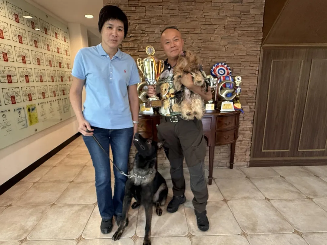 黃德光、邵秀蘭是全國僅有都是一級訓練師的夫妻檔，他們訓練犬隻獲獎無數，比賽冠軍無數次，成績傲視全國。（圖／西北訓犬學苑提供）