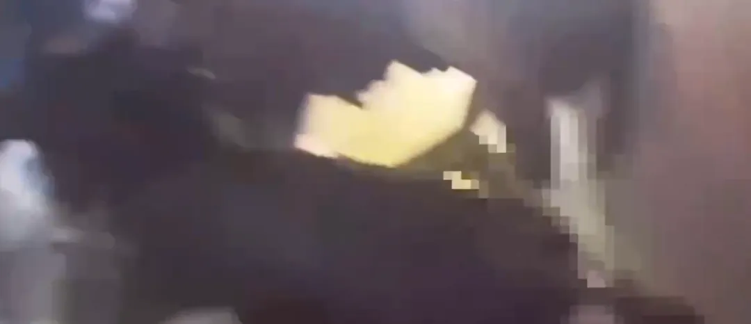 一名酒醉男子在台北花博園區，持美工刀攻擊保全人員，被警方逮捕。（圖／警方提供）