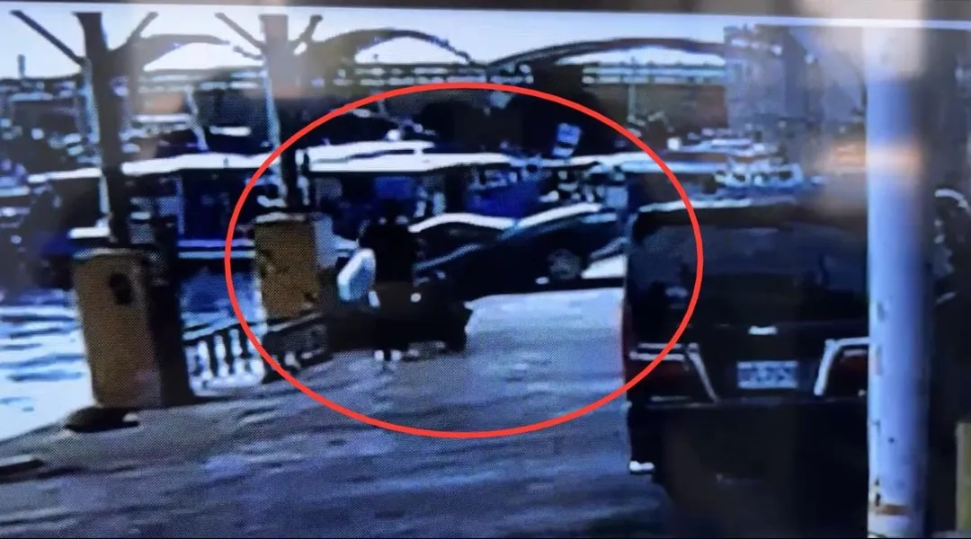 車輛在港區內倒車落海。(圖/翻攝畫面)
