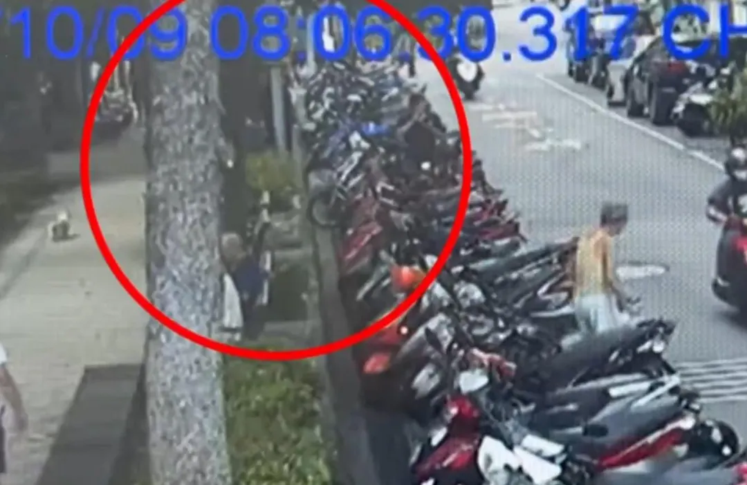 73歲許姓老翁和64歲褚姓婦人是情侶，兩人在公園爆發口角後，許姓老翁竟持刀砍殺褚婦。（圖／警方提供）