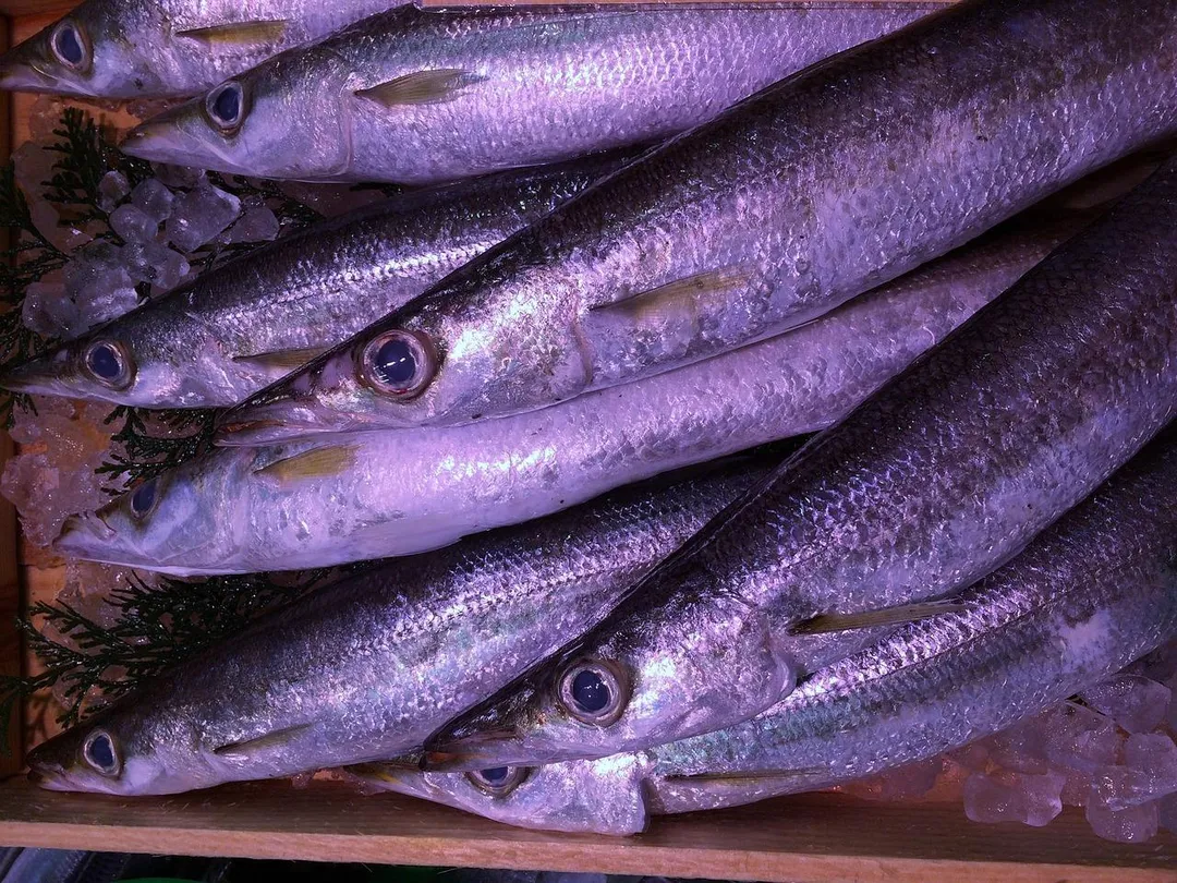 富含Omega-3的魚類如鮭魚、鯖魚、秋刀魚、沙丁魚,其EPA、DHA能直接下調身體的發炎訊號。(示意圖/Pixabay)