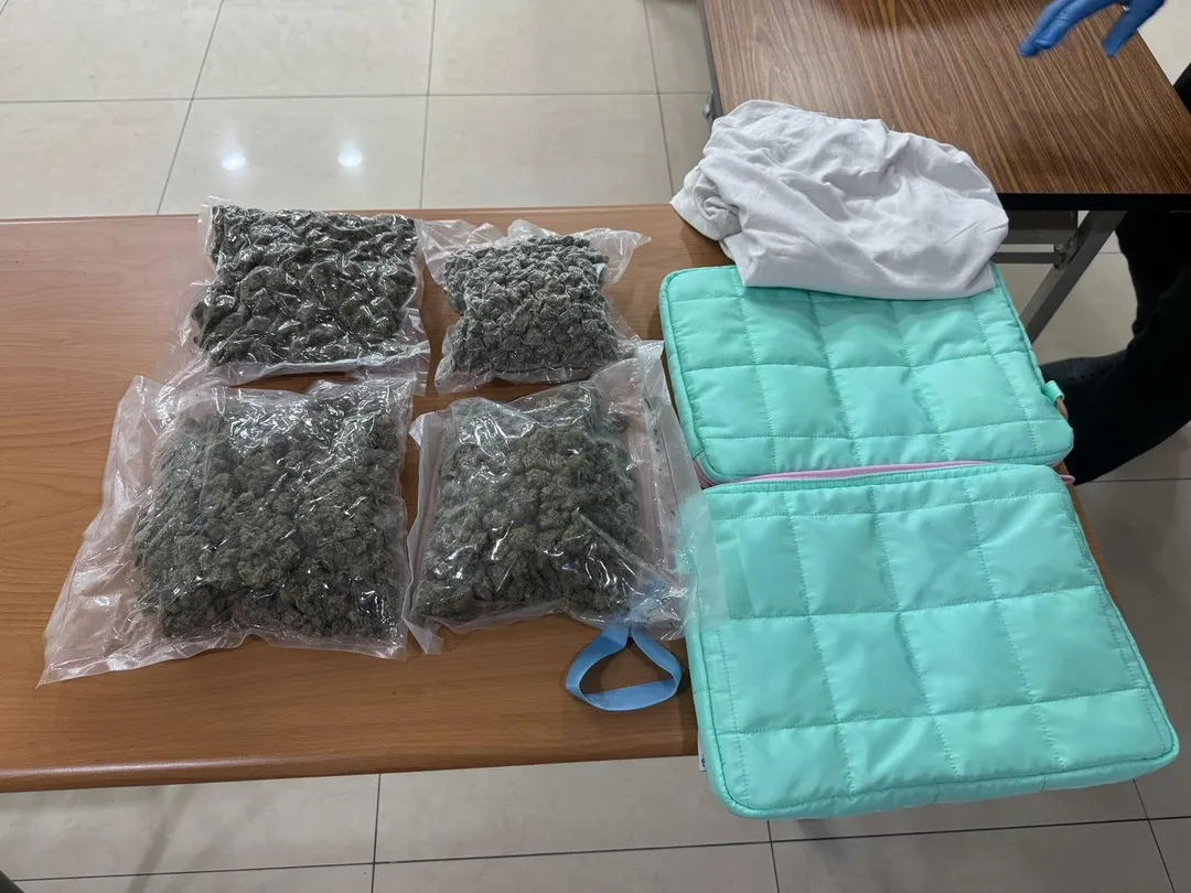 毒販電腦包夾帶大麻闖關失敗。（圖／刑事警察局提供）