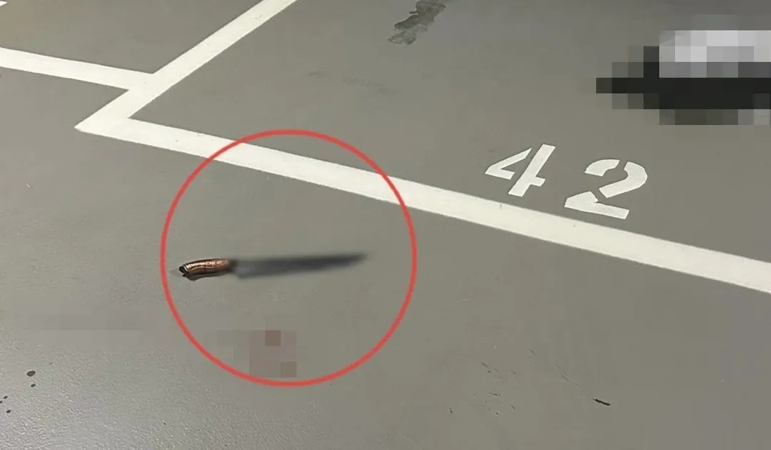 現場留下犯案用兇刀。（圖／翻攝畫面）