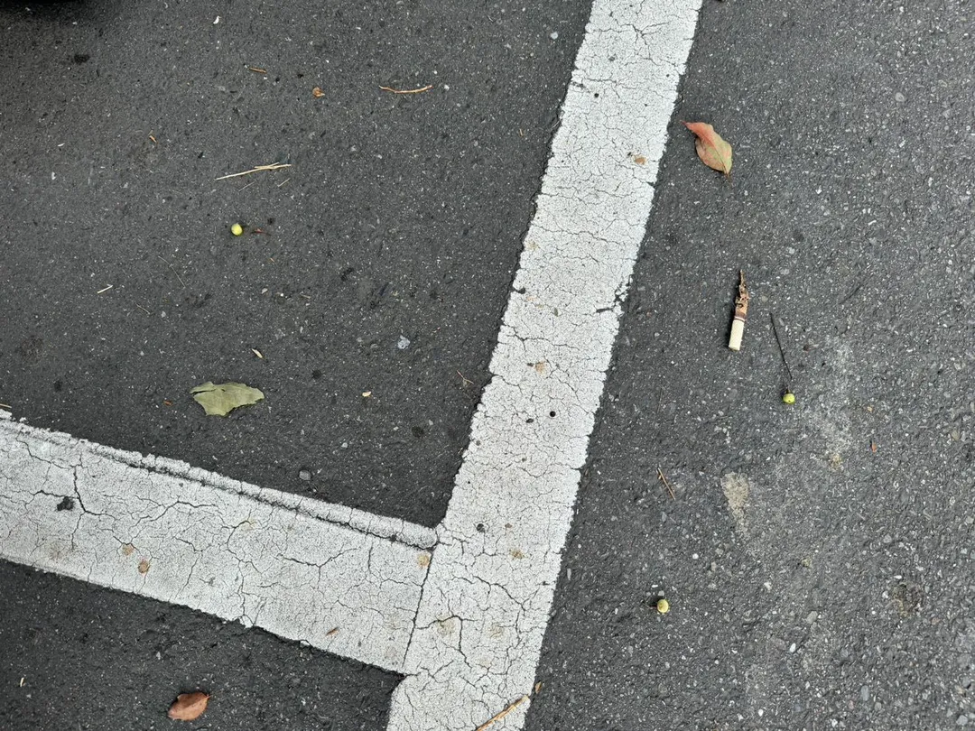新北市三峽區一名46歲林姓女騎士日前騎車時，疑似遭不明物體擊中安全帽險些摔車，在社群平台發文抱怨遭BB彈攻擊。（圖／翻攝畫面）
