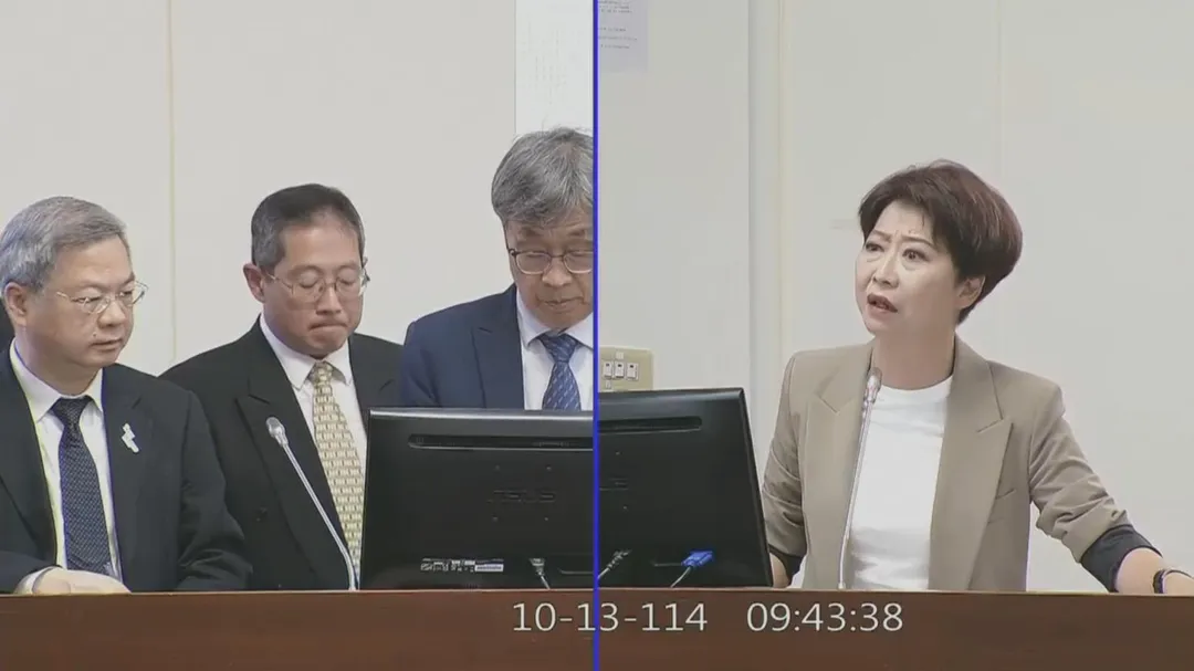 陳亭妃要求政府對光電設置需做出相關作為。（圖／國會頻道）