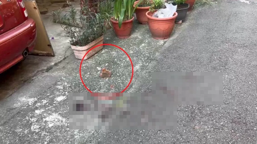 現場血跡斑斑地上還留有行兇的磚頭。（圖／翻攝畫面）