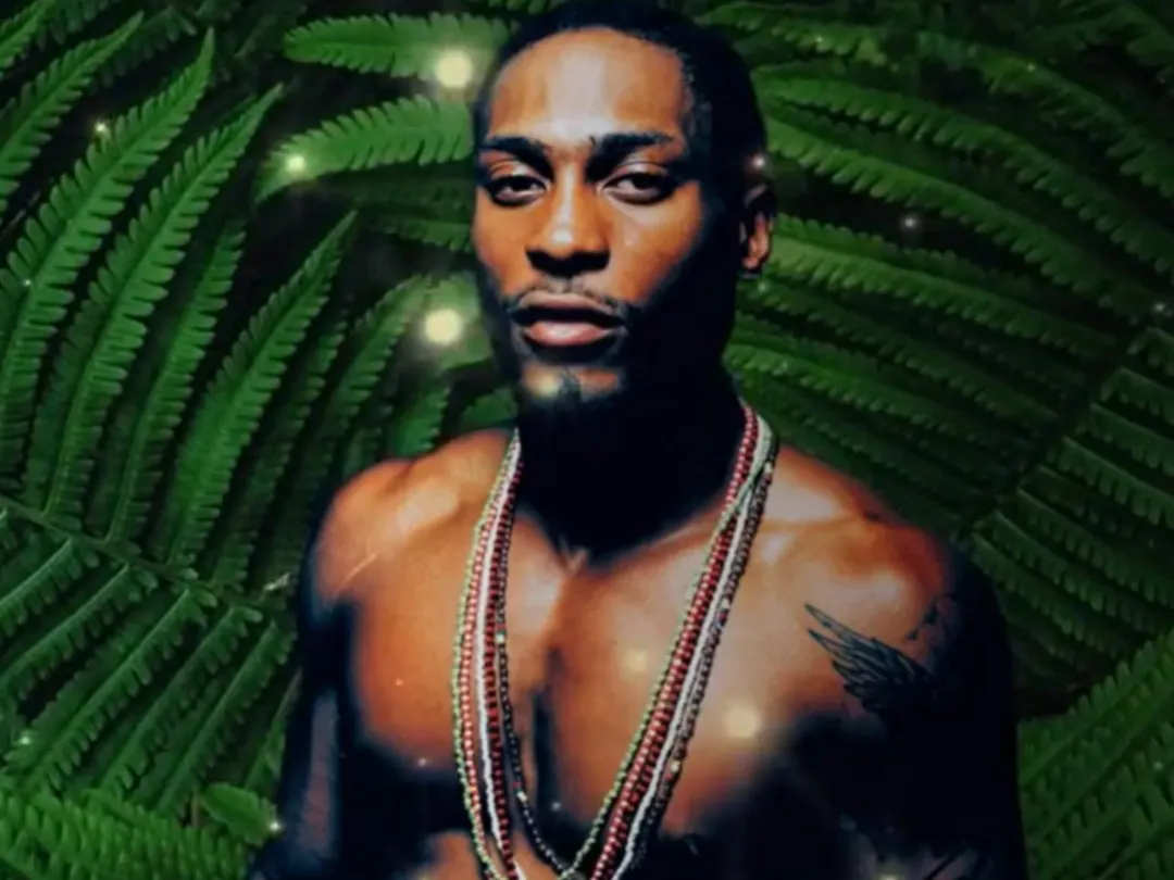 歌手D’Angelo。（圖／翻攝IG）