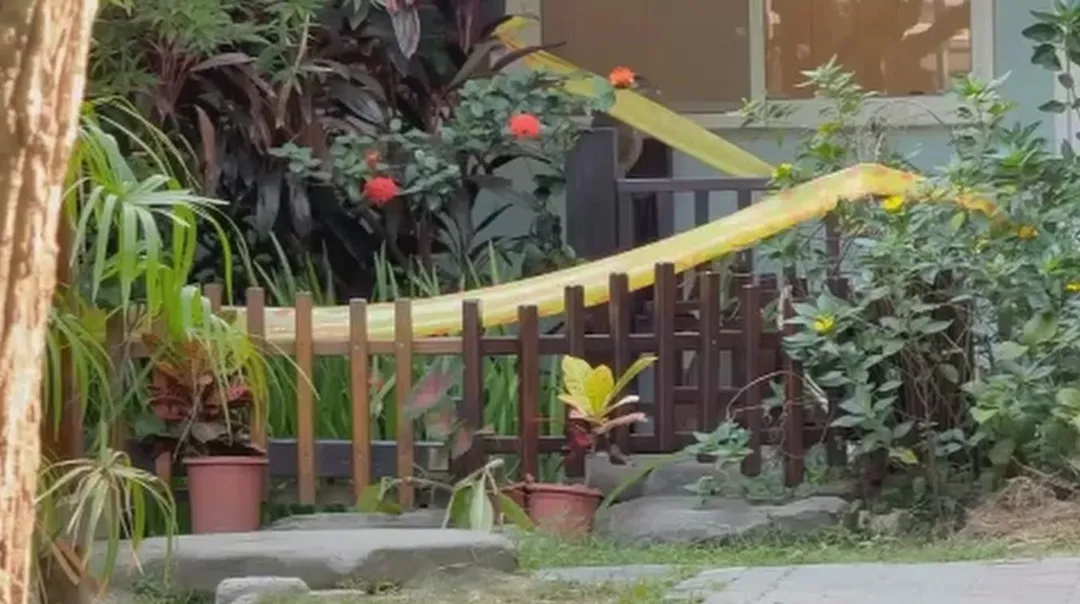 竹北一間托嬰中心1歲半女童疑因好奇靠近觀看生態池,跌入池中不治。(圖/中天新聞)