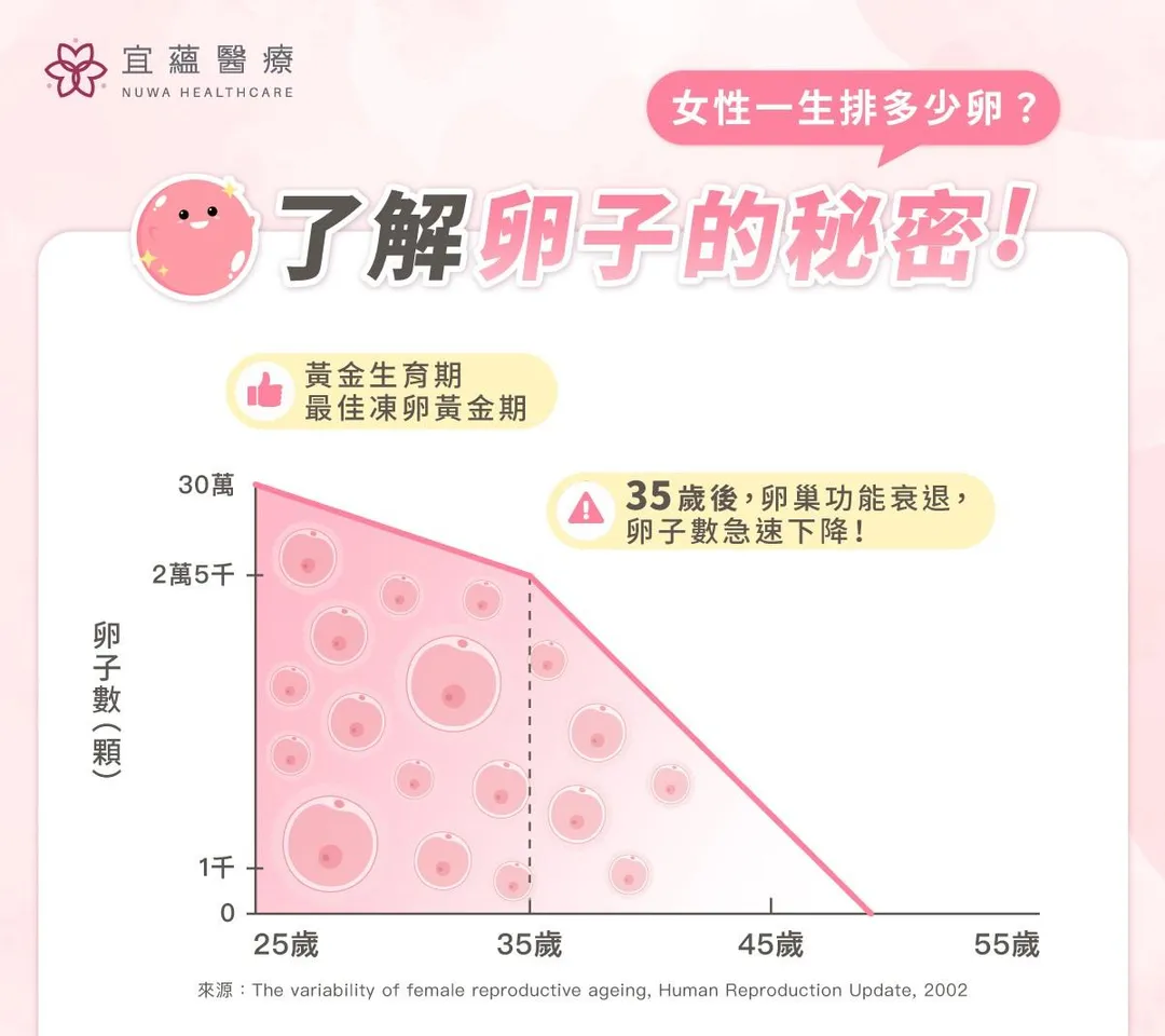 卵巢功能會隨年齡自然退化，卵子數量與品質在35歲後逐漸衰退，尤其38歲後更是陡坡下降。(圖/宜蘊醫療)