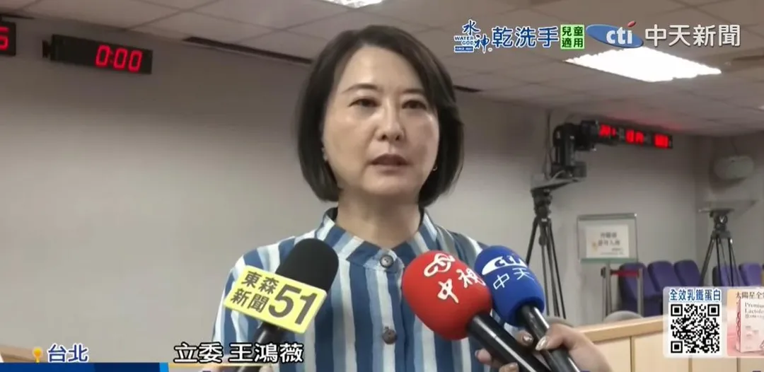 王鴻薇資料照。（圖／中天新聞）