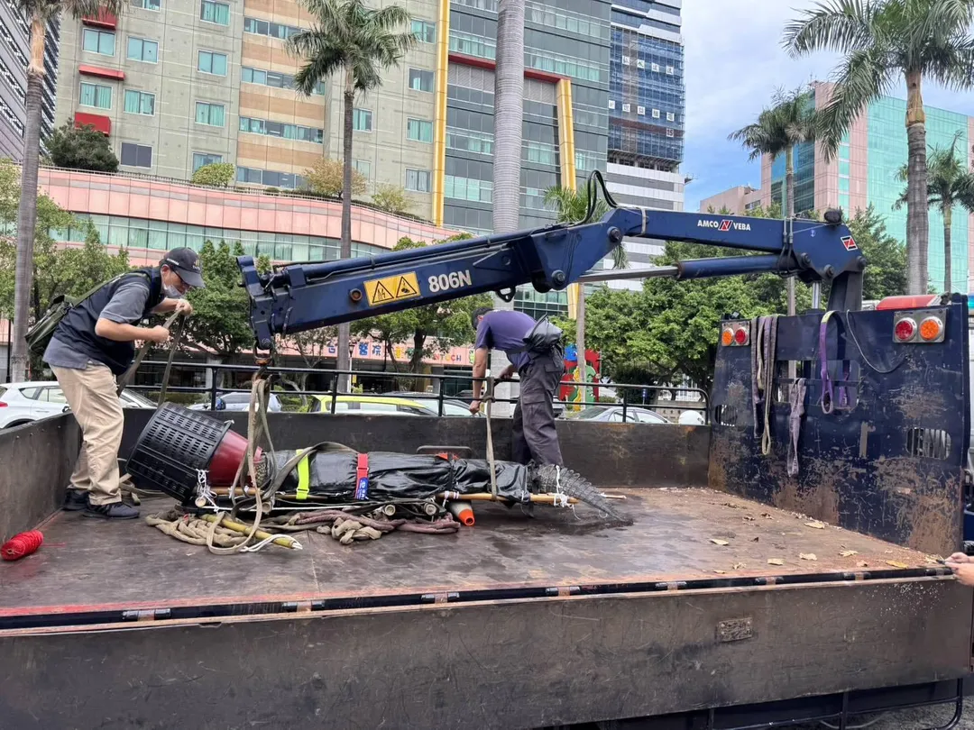 嘉義鱷魚養殖業者帶河口鱷赴立法院抗議，挨罰一萬元，河口鱷也被沒收。（圖／警方提供）