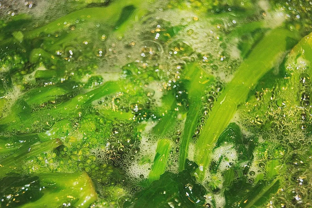 研究同時提出緩解作法：改採含水加熱，如蒸、汆燙、煮、燉或水煮，可有效減少AGE生成。（示意圖／Pixabay）