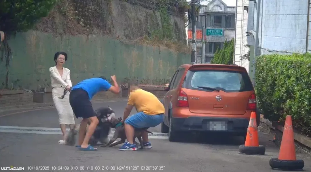 新竹縣竹北市的模特兒「栗子」昨天（19日）上午牽繩遛狗，遭比特犬攻擊。（圖／民眾提供）