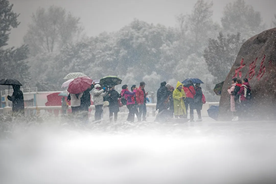 圖為10月17日，遊客在雪中遊覽哈爾濱的風景區。（圖／新華社）