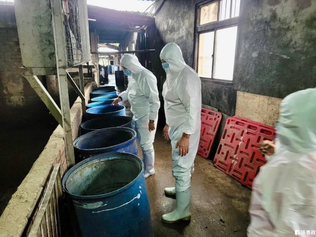 桃園市府派出人員稽查,全力防堵非洲豬瘟。(圖/翻攝張善政臉書)