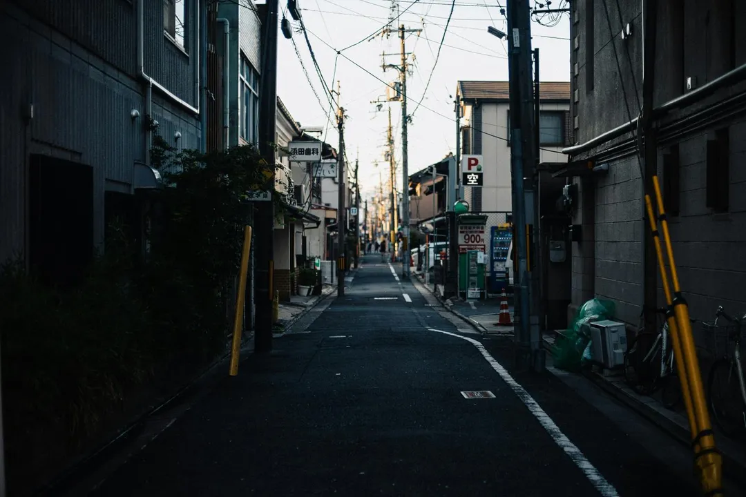 日本多地出現野熊肆虐情況。（示意圖／unsplash）