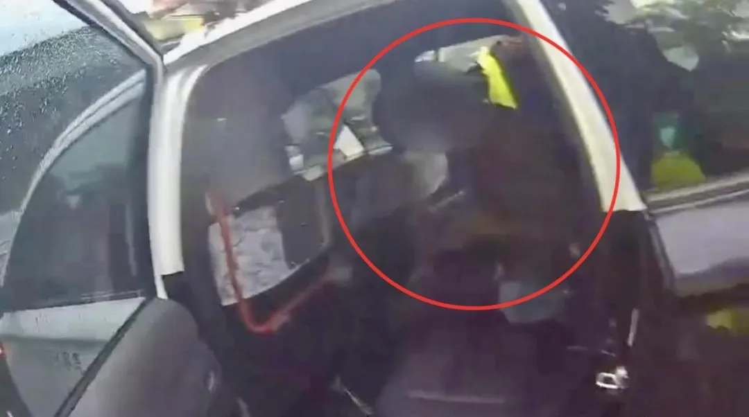 通緝男開贓車持有毒品遭警方查獲。（圖／翻攝畫面）