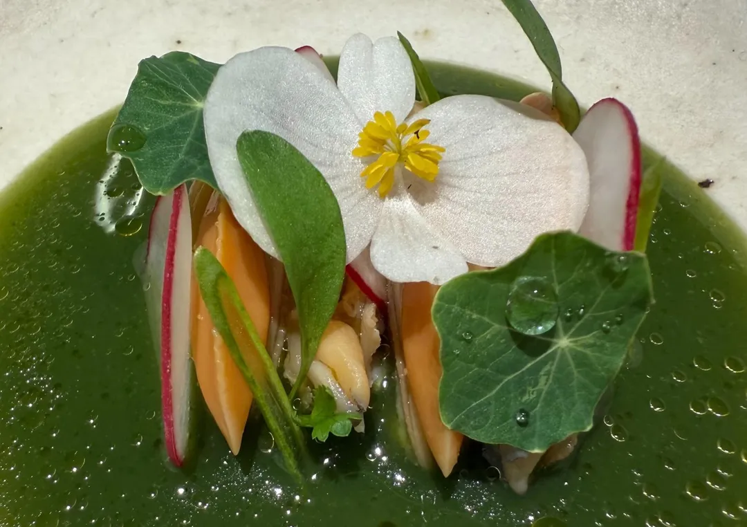 台東產大圓葉胡椒打成醬汁，以清爽辛香點綴宜蘭鮮美海瓜子。（圖／黃宏輝提供）