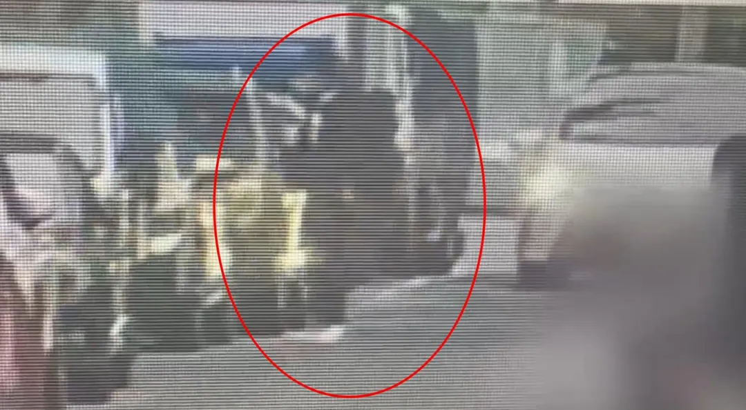 一名男子在台北信義區校園操場持空氣長槍射擊,引發民眾恐慌報警處理。(圖/警方提供)