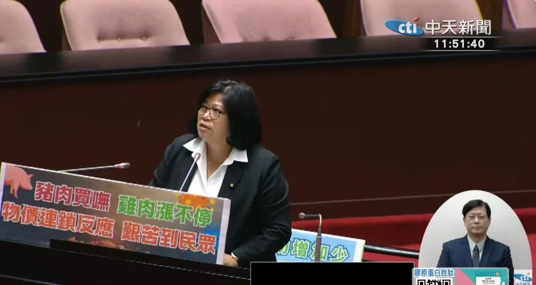 民進黨嘉義市長提名人王美惠。(資料照/中天新聞)