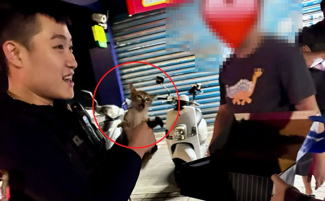員警與民眾合力救出小貓。（圖／翻攝畫面）