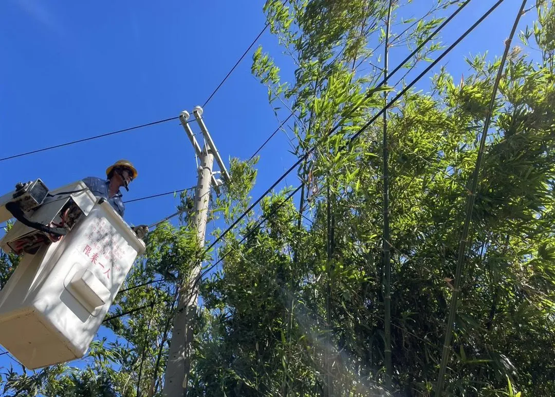台電5日即啟動防颱整備作業，全面加強鄰近供電線路樹竹修剪。（圖／台電提供）