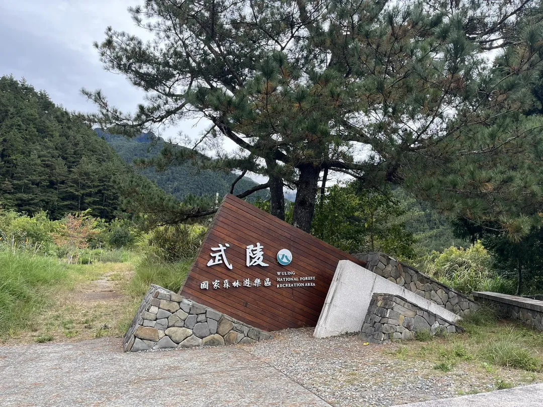 武陵國家森林遊樂區及其他13條自然步道將實施管制。（圖／資料照／林保署台中分署提供）