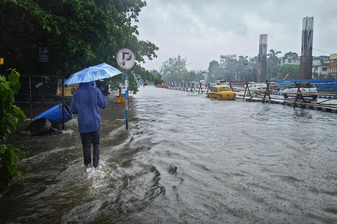 民眾應在雨後主動巡檢居家環境,仔細巡視戶內外容器,將積水倒掉並徹底清除。(示意圖/Pexels)