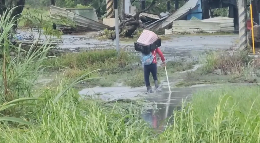 一戶獨居農民，涉險跨過遭泥水灌入的農田，返家查看。（圖/中天新聞）