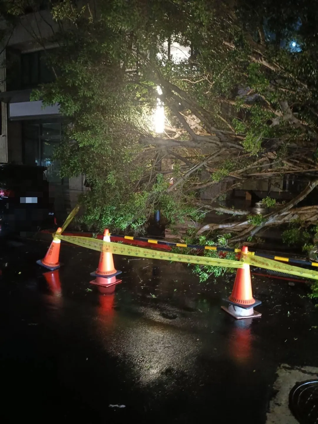 北市敦化南路發生路樹倒塌事件。(圖/警方提供)