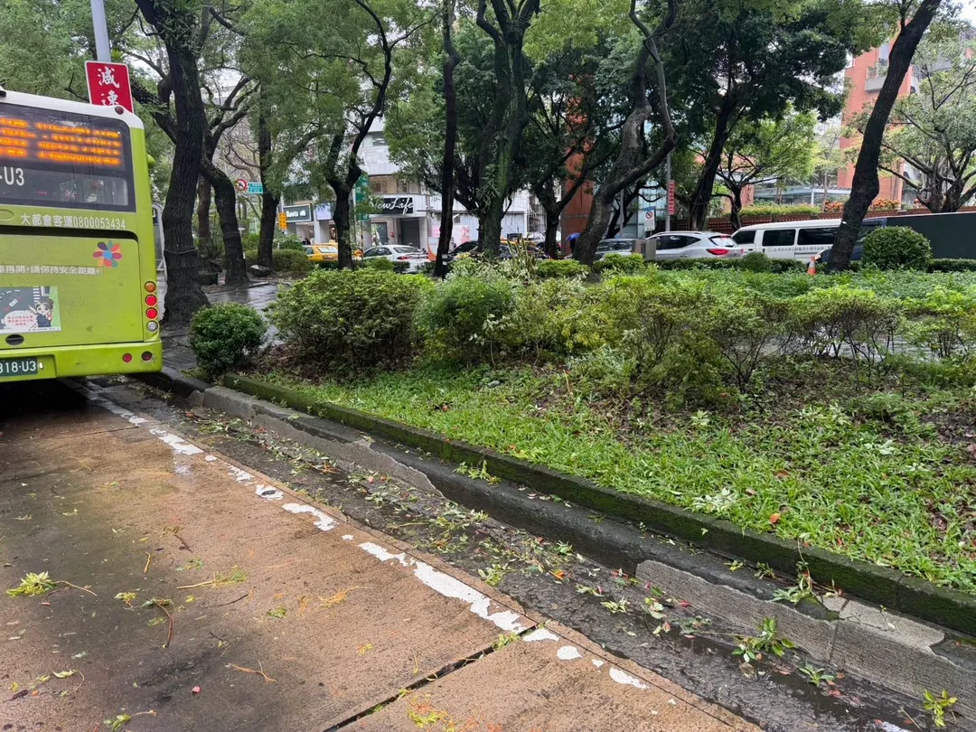 北市路樹倒塌占用公車專用道。(圖/警方提供)