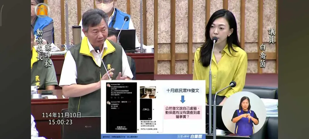 高雄市議員白喬茵接獲民眾陳情，揭發這起殘忍虐貓事件。（圖／高雄市議員白喬茵提供）