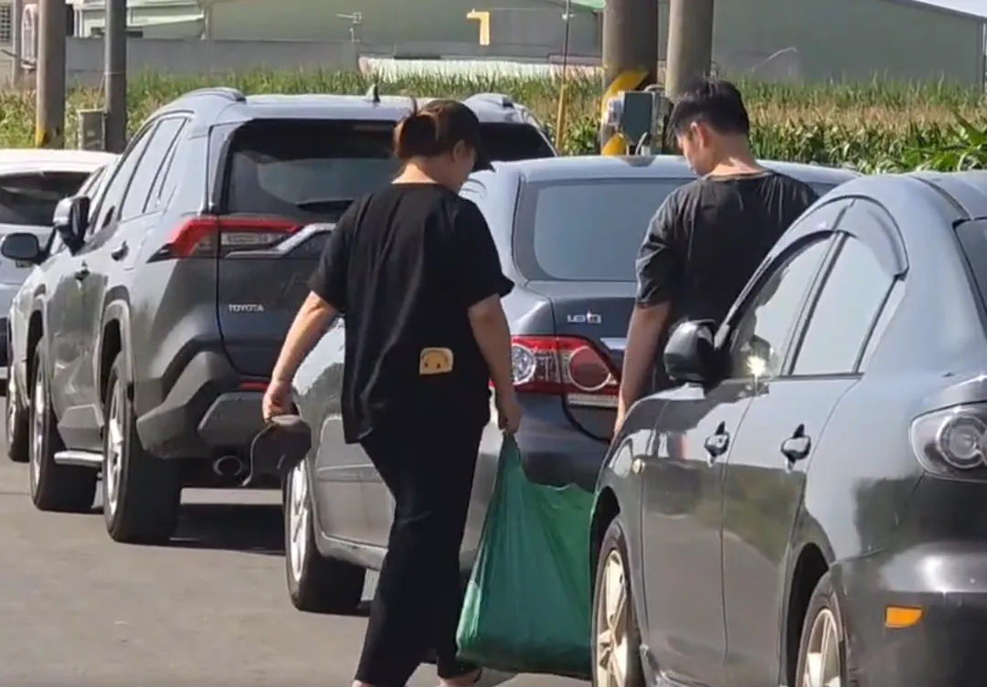 不少民眾特意驅車前往嘉義自採高麗菜。(圖/中天新聞)