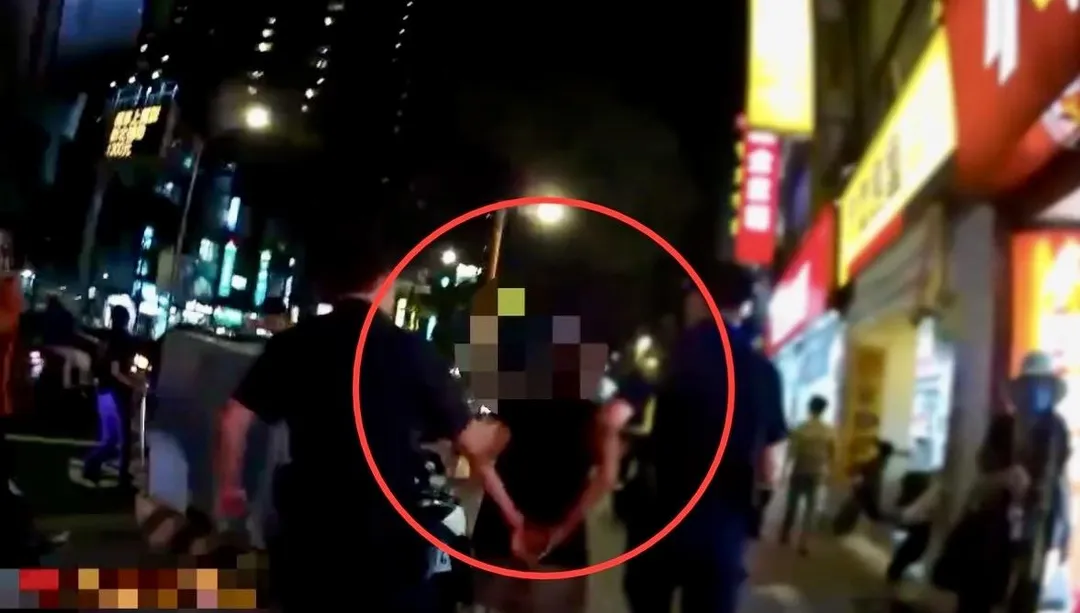 男子遭壓制逮捕送辦。（圖／翻攝畫面）