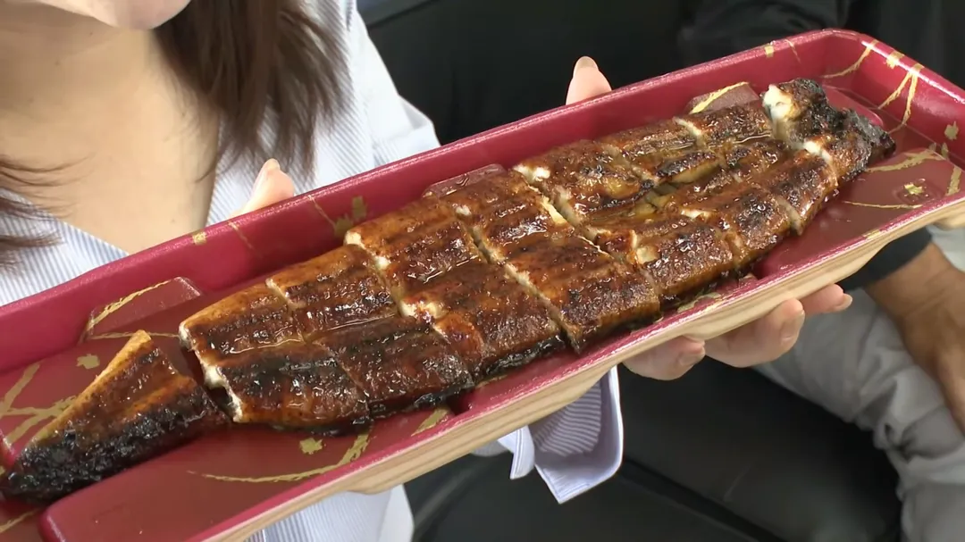 日本人食用鰻魚已有千年歷史，但因鰻魚已屬瀕危物種，是否能繼續食用引發各界關注。圖為高知縣產鰻魚製成蒲燒鰻魚飯。（示意圖／NTV）