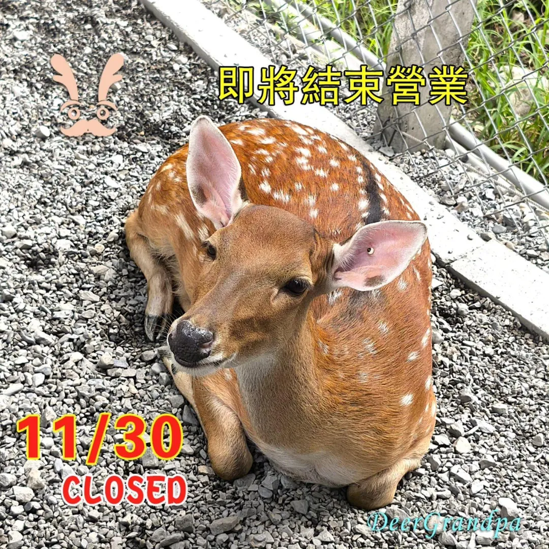 位於宜蘭三星鄉的知名農場「鹿爺爺農場」宣布，將在12月1日正式歇業。（圖／翻攝自鹿爺爺臉書）