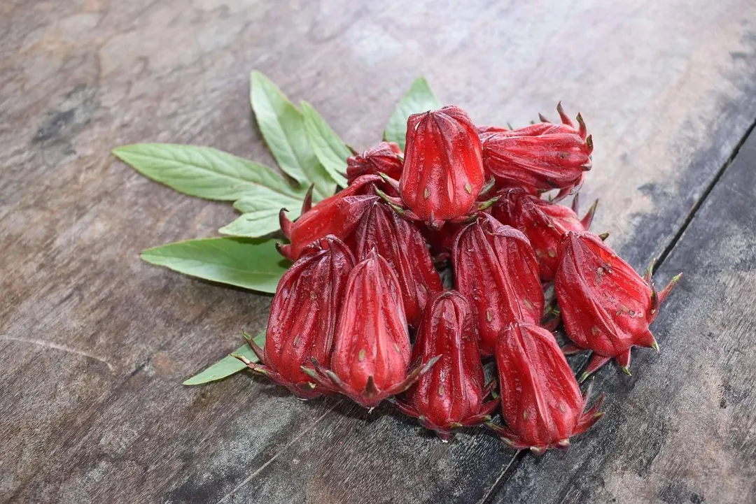 洛神花中的花青素與多酚類物質能夠幫助擴張血管、改善血液循環，並有助於降低收縮壓與舒張壓。（示意圖／Pixabay）