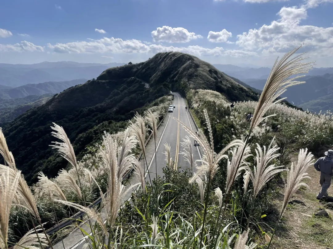 站在不厭亭眺望滿山芒花隨風搖曳，隨手一拍都是美景。（圖／新北市觀旅局提供）